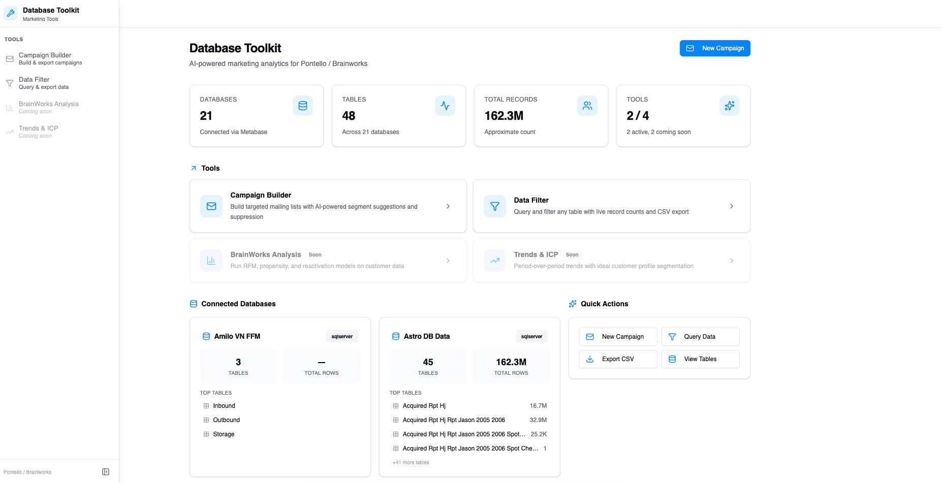 DatabaseToolkit AI marketing analytics for Japan